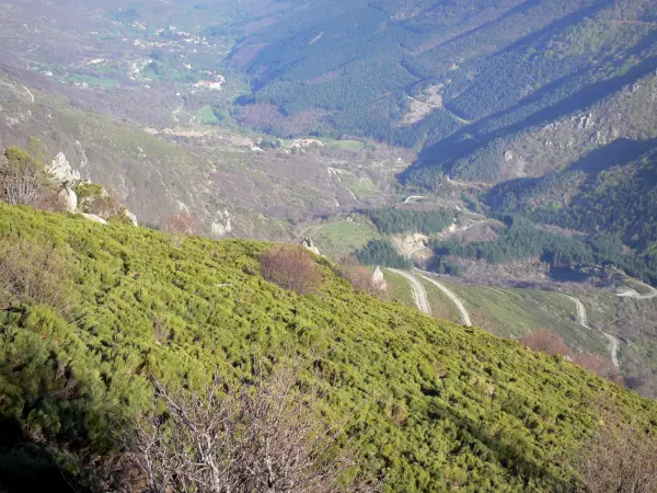 Montagne ardéchoise berggebied - Bekijk van het groene landschap van massale Tanargue, in het Regionale Natuurpark van de Monts d'Ardèche