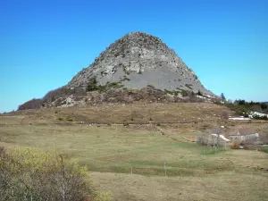 Montagne ardéchoise berggebied - Mont Gerbier de Rush, phonolitic uitsteeksel, in het Regionale Natuurpark van de Monts d'Ardèche