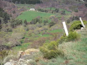 Montagne ardéchoise berggebied - Bekijk op een nest in een groen huis