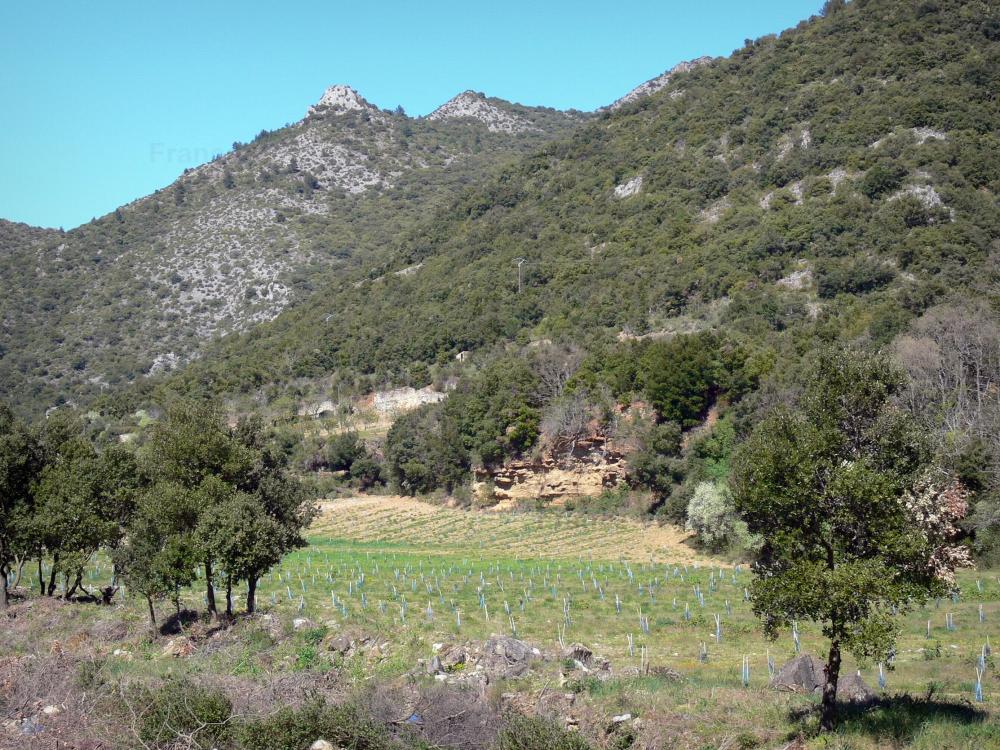 Montagne Noire - Groene en steile landschap Montagne Noire