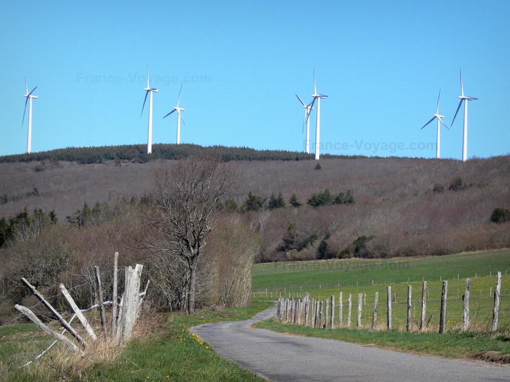 Montagne Noire - Wind, bos en kleine weg bekleed met omheinde paddocks