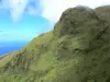 Montagne Pelée - Pentes du volcan en activité