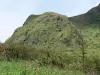 Montagne Pelée - Végétation du volcan