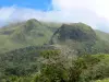 Montagne Pelée - Paysage volcanique