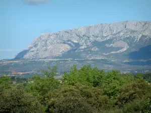 Montaña Sainte-Victoire - Bosque y la montaña Sainte-Victoire