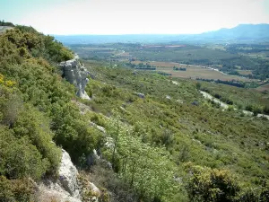 Montaña Sainte-Victoire - De la montaña, con vistas a la llanura circundante cubierto de campos y árboles