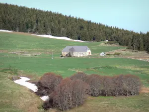 Montanha Ardèche - Edifício de pedra cercado por prados, à beira de uma floresta