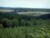 Montanha Negra - Árvores, pastagens e florestas (Parque Natural Regional de Haut-Languedoc)