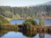 Montanhas de Cézallier - Corpo de água, juncos, árvores e floresta; no Parque Natural Regional dos Vulcões de Auvergne