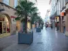 Montauban - Rue de la Résistance avec ses boutiques, ses façades de maisons, et ses palmiers en pots