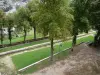 Montbard - Spazi verdi nel Parco Buffon