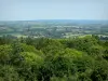 Monte Avaloirs - Parque Natural Regional da Normandia-Maine: vista da floresta Multonne e da paisagem da sebe do topo do mirante do Mont Avaloirs