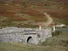 Monte Lozere - Cévennes National Park: pequena ponte cercada por mouros