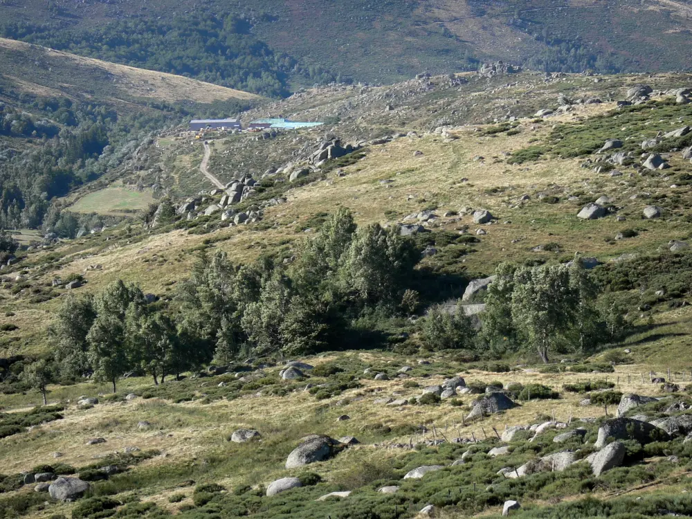Fotos El monte Lozère Guía turismo y vacaciones