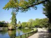 Montélimar - Öffentlicher Garten von Montélimar mit seiner Promenade entlang des großen Beckens