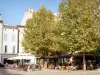 Montélimar - Café-Terrassen im Schatten von Bäumen und Sonnenschirmen