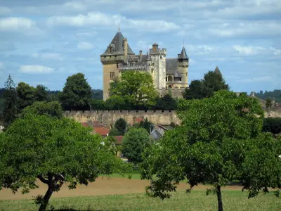 Montfort castle