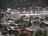 Montgenèvre - Ski resort (winter and summer sports resort): building, chalets and trees