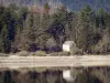 Monti dell’Ardèche - Lago Issarlès e boscosa riva