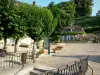 Montmirail山 - 村庄广场装饰着树木和鲜花