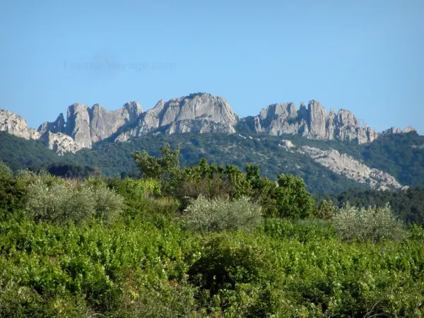 Montmirail的dentelles - 旅游、度假及周末游指南沃克吕兹省