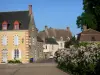 Montmirail - Facades of houses in the village and flowering shrubs