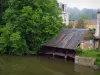Montoire-sur-le-Loir - Arbre et lavoir au bord de la rivière (le Loir)