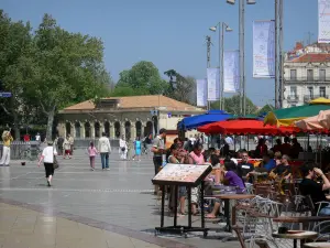 Montpellier - Terrazza Cafe a Place de la Comédie, alberi e ufficio turistico in background