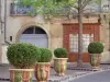 Montpellier - Arbustes en pots, arbre et façade d'une maison