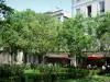 Montpellier - Place de la Canourgue : parterre de rosiers, arbres, terrasse de café et immeubles