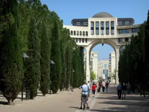 Montpellier - Antigone distretto: Millennium Square con la sua passeggiata e cipressi, gli edifici