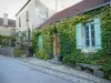 Montréal - Facades of houses in the village