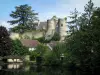 Montrésor - Muren en torens (relieken) van het fort, kasteel, dorp huizen, bomen en een wasserette in de rivier (Indrois)