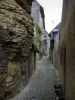 Montrésor - Ruelle du village bordée de maisons