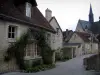 Montrésor - Maisons et collégiale du village