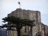Montrichard - Plaza de la torre y el árbol