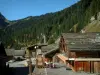 Montriond - Chalés de madeira da aldeia (estância de esqui), terraço de café e floresta, no Alto Chablais