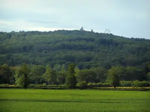 Monts de Blond - Heuvel bedekt met bomen (bos) met uitzicht op een weiland en een veld