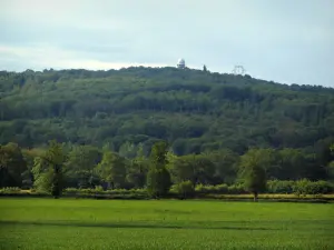 Monts de Blond - Colline couverte d'arbres (forêt) dominant une prairie et un champ