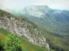 Monts du Cantal - Parc Naturel Régional des Volcans d'Auvergne : paysage montagneux et forestier