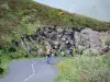 Monts du Cantal - Parc Naturel Régional des Volcans d'Auvergne : cyclistes faisant l'ascension du massif des monts du Cantal