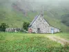 Monts du Cantal - Parc Naturel Régional des Volcans d'Auvergne : grange en pierre dans une nature verdoyante
