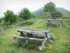 Monts du Cantal - Parc Naturel Régional des Volcans d'Auvergne : tables de pique-nique au col de Serre