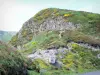Monts du Cantal - Parc Naturel Régional des Volcans d'Auvergne : flore des monts cantaliens