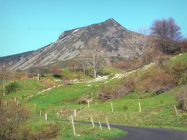 Monts d'Ardècheの地域自然公園 - アルデシュ山：メゼンク山を見下ろす牧草地が並ぶ道