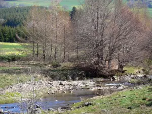 Monts d'Ardècheの地域自然公園 - アルデシュ山：木々や牧草地が並ぶロワール川