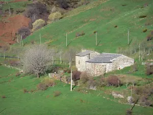 Monts d'Ardècheの地域自然公園 - 木々や牧草地に囲まれた石造りの建物