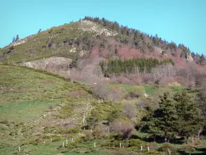 Monts d'Ardècheの地域自然公園 - 牧草地および木