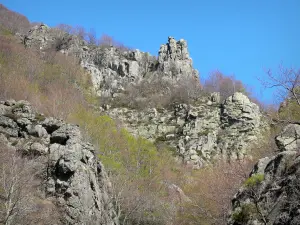 Monts d'Ardècheの地域自然公園 - 森の真ん中に岩