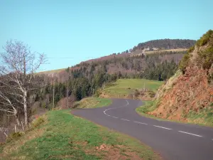 Monts d'Ardècheの地域自然公園 - 森の入り口の道